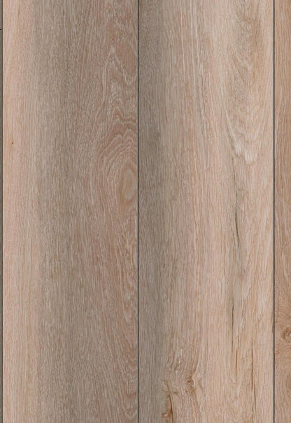GNARRANBURG OAK TITANIUM AC5 12mm